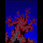 CFrak01-01v5-Baum der Eulen.gif